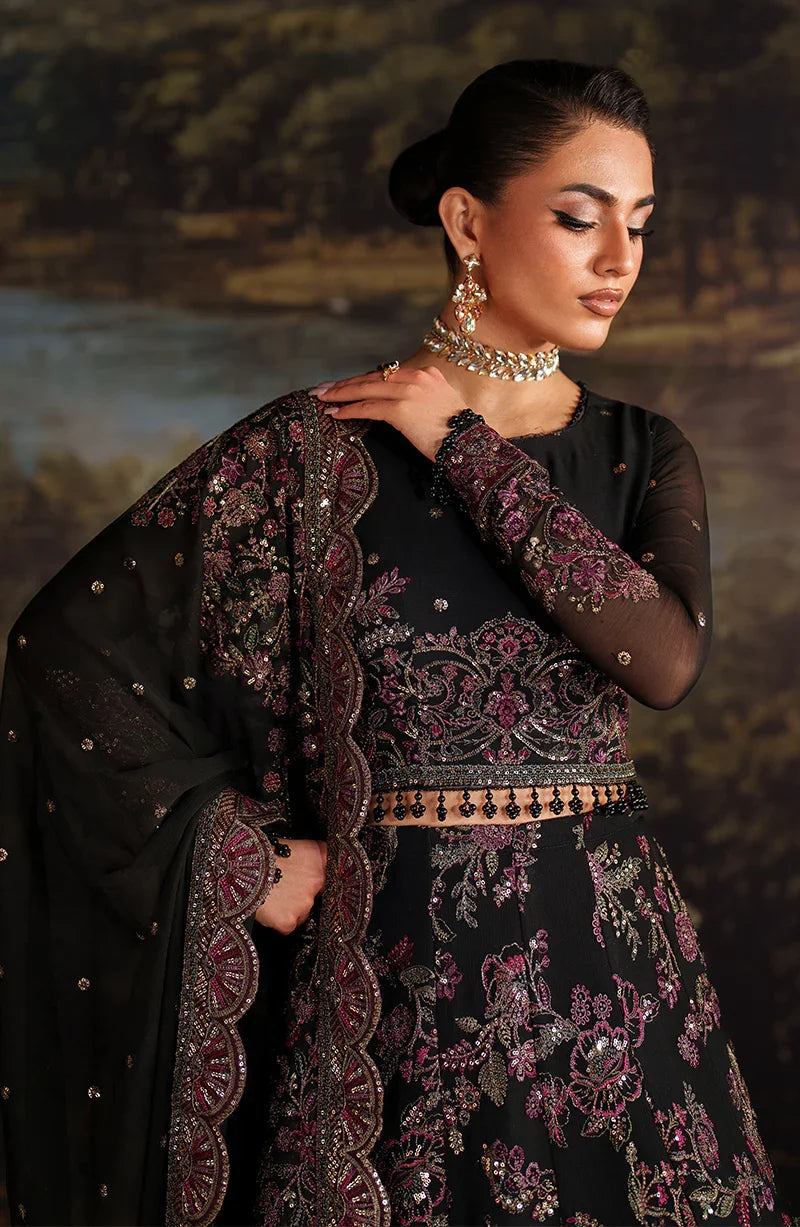 Exclusive Collection